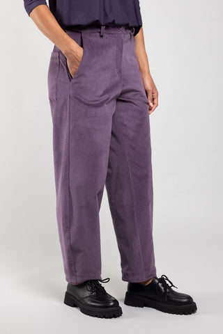 Pantalon Bobby Velours 3/4